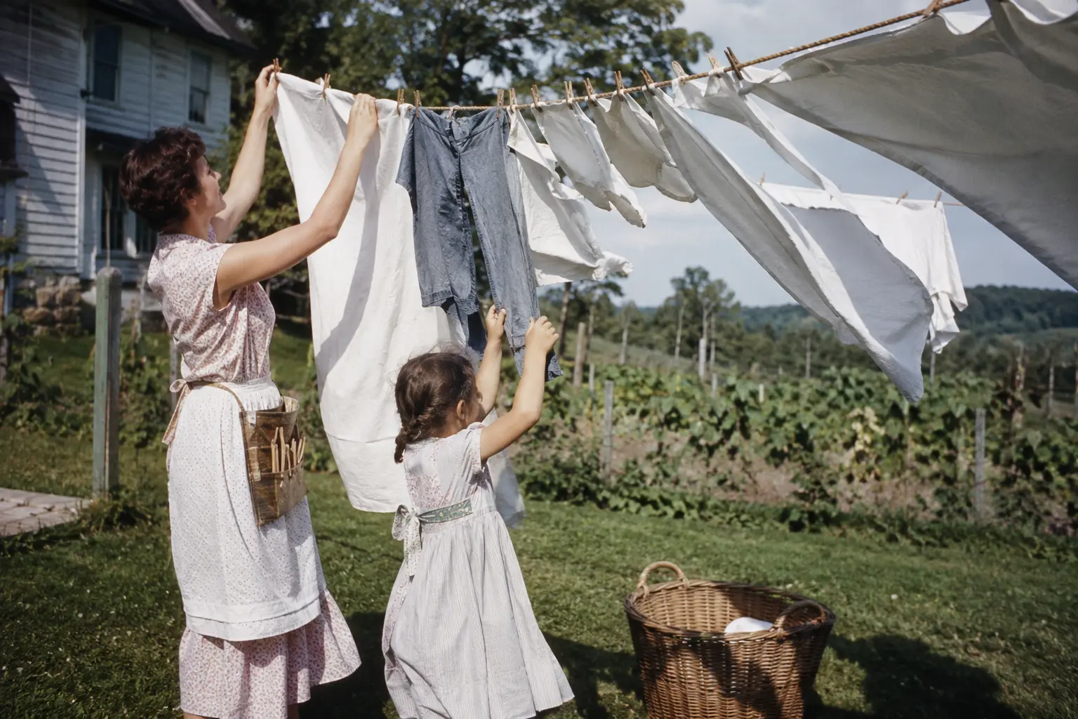 A family hanging laundry on a backyard clothesline in 1950s America